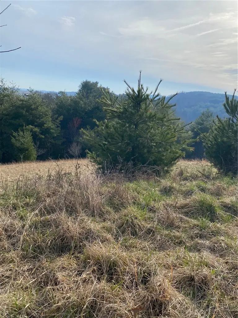 TBD Autumn Glen Drive, Sparta, NC 28675 - #2