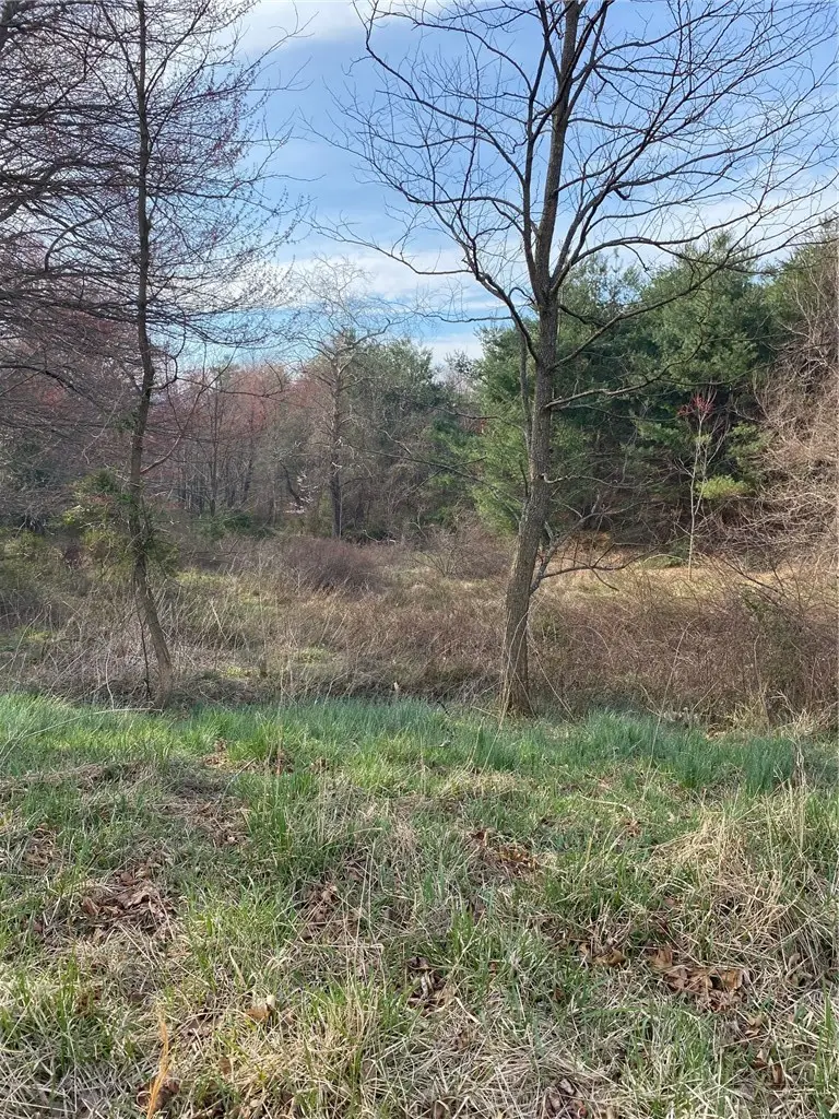 TBD Autumn Glen Drive, Sparta, NC 28675 - #1