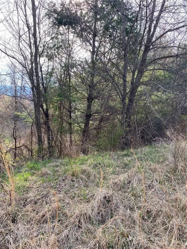 TBD Autumn Glen Drive, Sparta, NC 28675 - #2