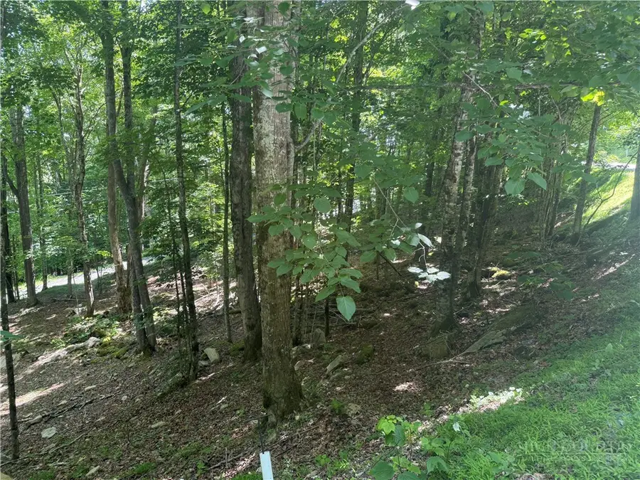 200 Wild Daisy Road, Beech Mountain, NC 28604 - #2
