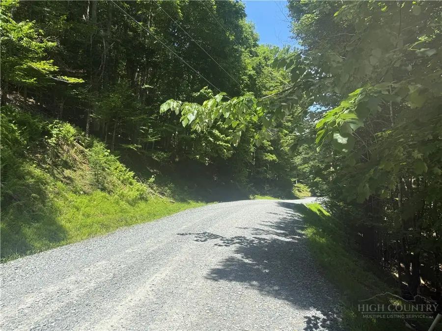 200 Wild Daisy Road, Beech Mountain, NC 28604 - #3