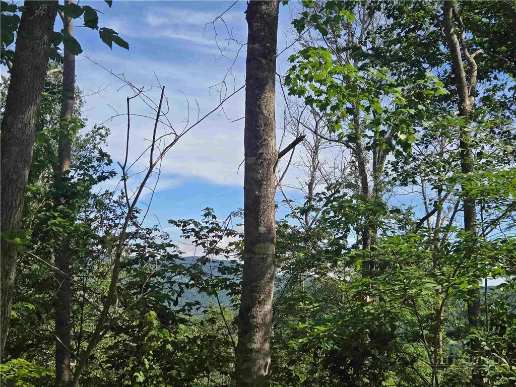 TBD Green Cove Road, Sugar Mountain, NC 28604 - #1