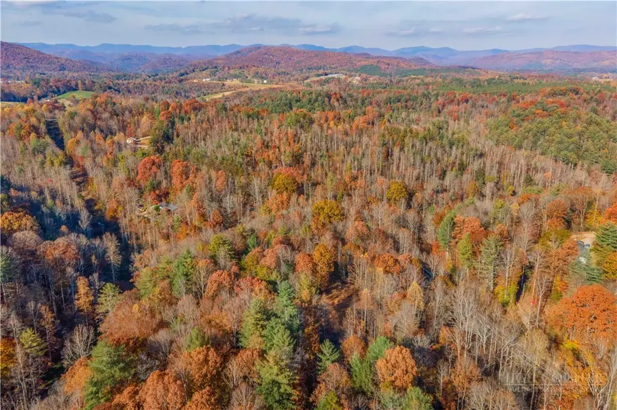 1165 Dehart Community Center Road, Hays, NC 28635 - #2