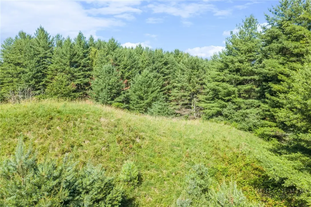 LOT 31 Alleghany Beauty, Piney Creek, NC 28663 - #1