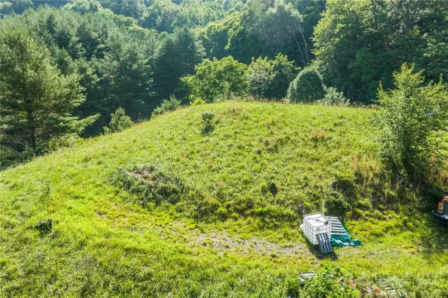 LOT 31 Alleghany Beauty, Piney Creek, NC 28663 - #2