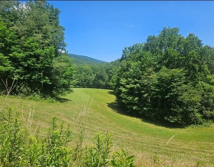 886 Hanging Rock Road, Spruce Pine, NC 28777 - #3