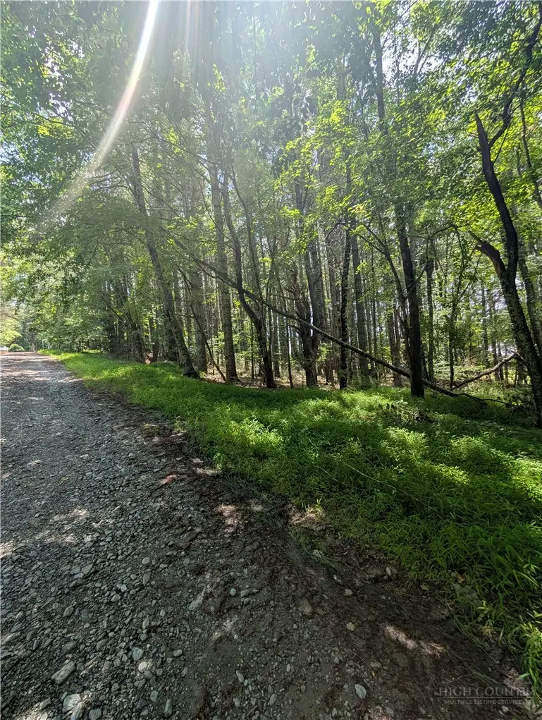 tbd Doell Lane #20, Sparta, NC 28675 - #3