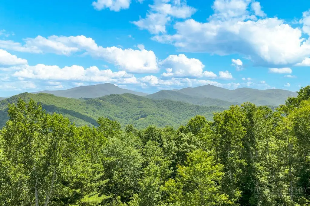 TBD Drake Drive, Watauga, NC 29692 - #1