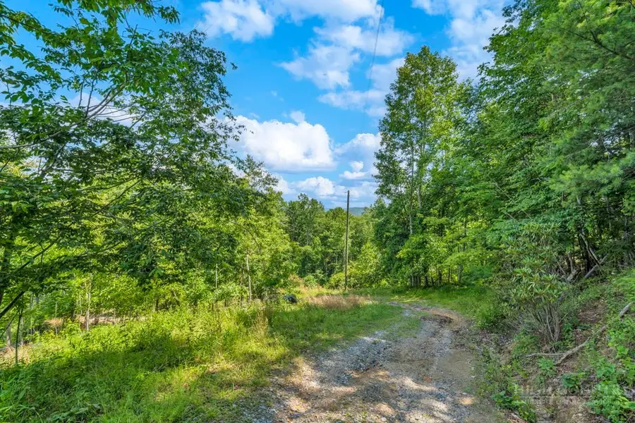 TBD Drake Drive, Watauga, NC 29692 - #3