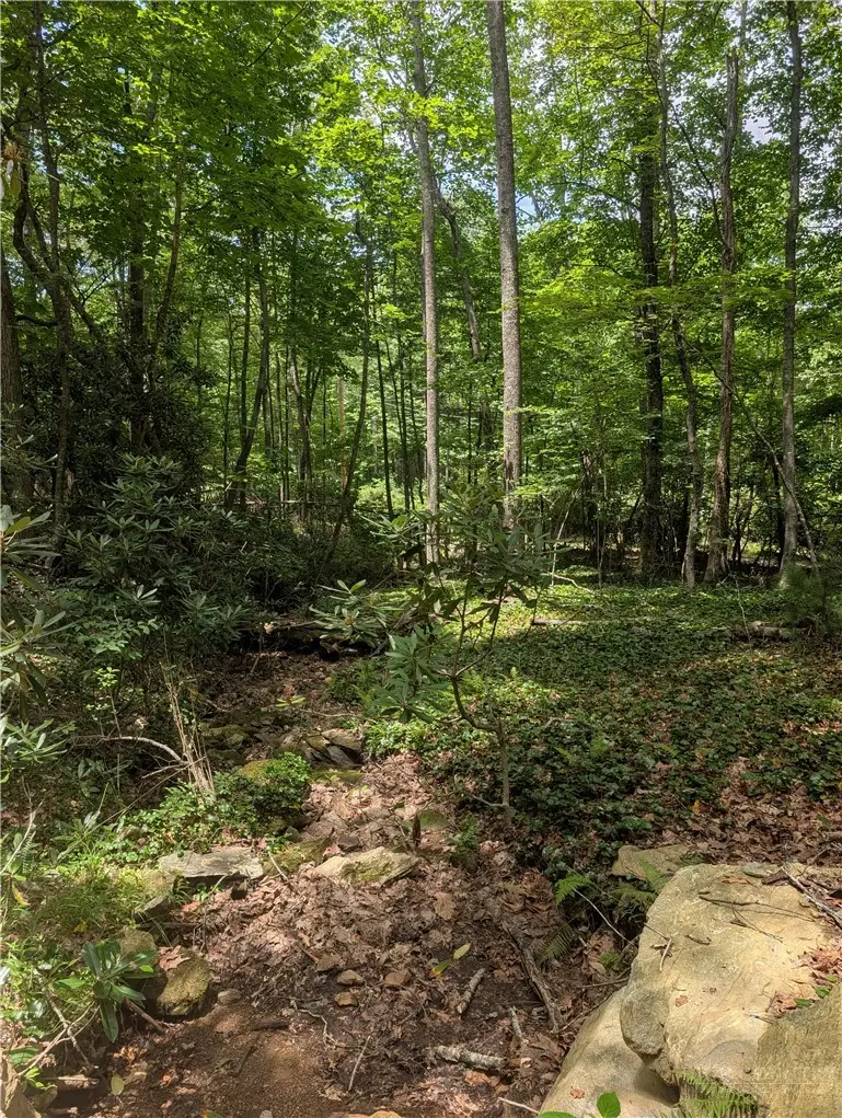 TBD Rocky Mountain Road, Cherry Lane, NC 28627 - #3
