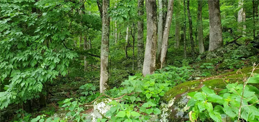 Lot 87 Thorncliff Drive, Seven Devils, NC 28607 - #2