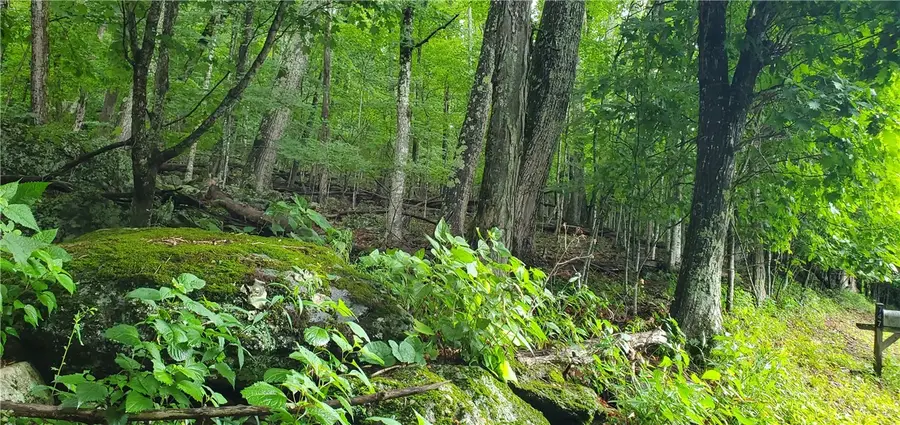 Lot 87 Thorncliff Drive, Seven Devils, NC 28607 - #3