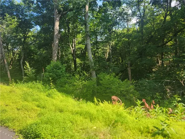 TBD Tree Top Drive, Boone, NC 28607