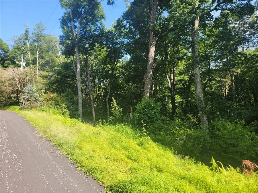 TBD Tree Top Drive, Boone, NC 28607 - #3