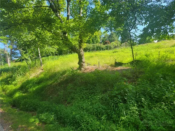 lot 66 Center Court Drive, Boone, NC 28607