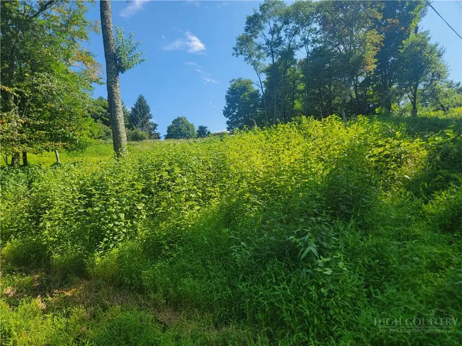 lot 66 Center Court Drive, Boone, NC 28607 - #2
