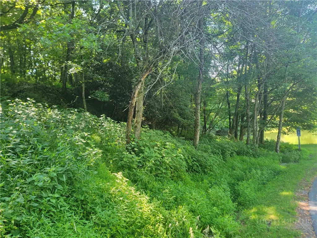 lot 68 Center Court Drive, Boone, NC 28607 - #1