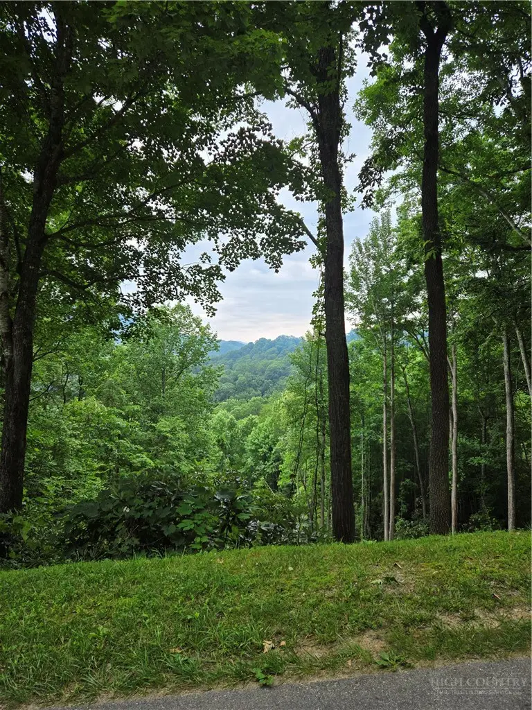 Lot C10 Bear Paw Road, Elk Park, NC 28622 - #2