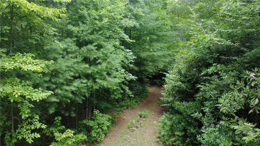 TBD Blowing Rock Road, Lenoir, NC 28645 - #2