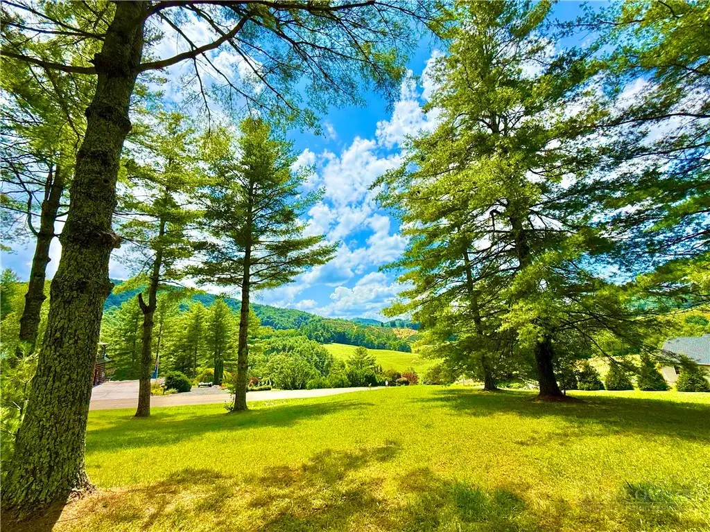 TBD Birds Eye View Place, Pine Swamp, NC 28640 - #1