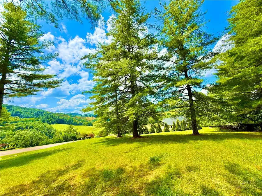 TBD Birds Eye View Place, Pine Swamp, NC 28640 - #2