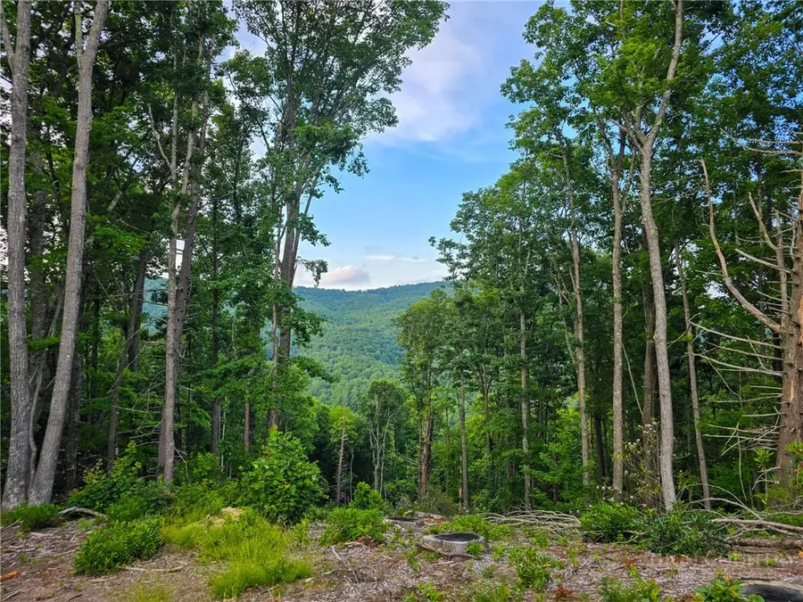 85 Eagle Watch Circle, Deep Gap, NC 28618 - #2