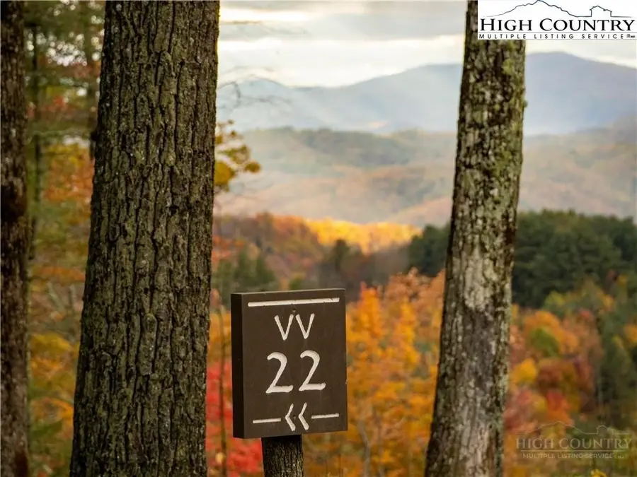 VV22 Firestone Lane, Banner Elk, NC 28604 - #3