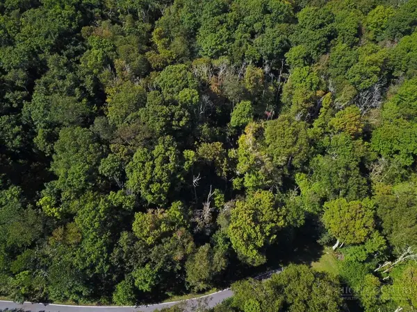 TBD Red Clover Road, Beech Mountain, NC 28604