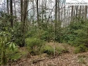 TBD Red Clover Road, Beech Mountain, NC 28604 - #2