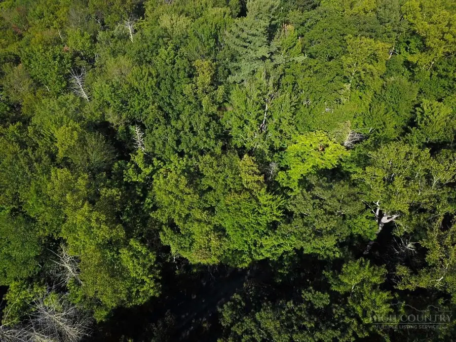 TBD Red Clover Road, Beech Mountain, NC 28604 - #3