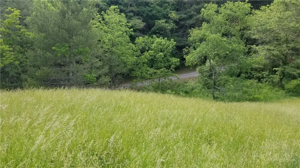 Lot 22 Rachel Way #22, Piney Creek, NC 28663 - #1