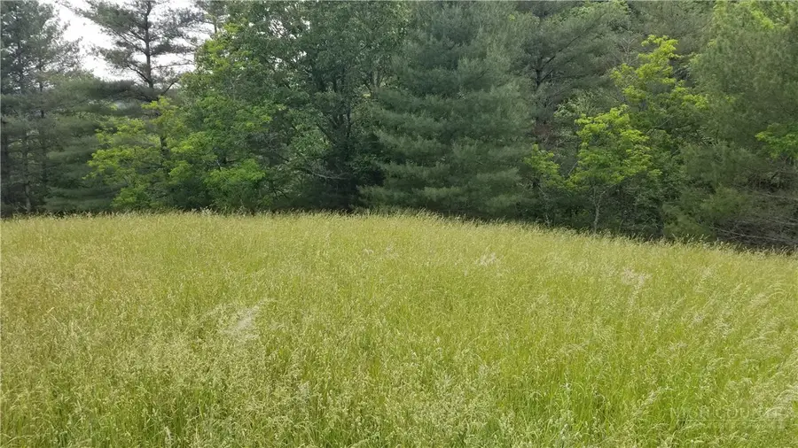 Lot 22 Rachel Way #22, Piney Creek, NC 28663 - #2