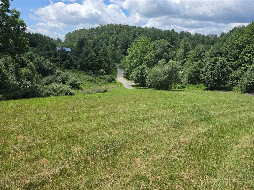 Lot 40 Dena Way, Piney Creek, NC 28663 - #1