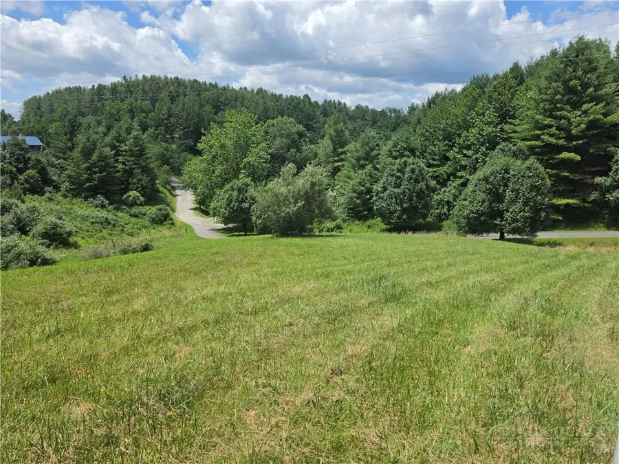 Lot 40 Dena Way, Piney Creek, NC 28663 - #2