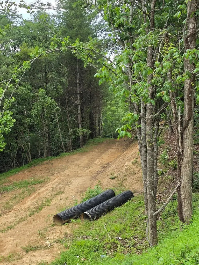 TBD River Country Road, Piney Creek, NC 28663 - #1