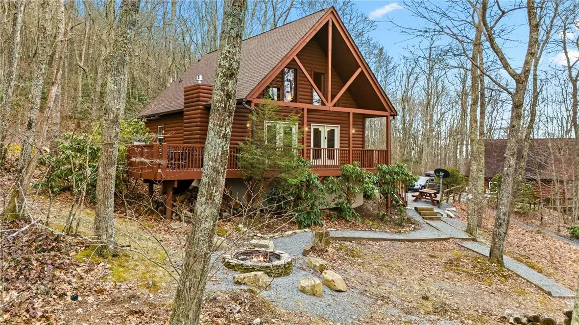 20 Cabin Ridge Lane, Banner Elk, NC 28604 - #1