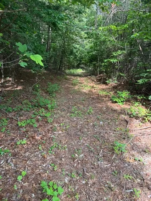 79 Elk Horn Road, Ferguson, NC 28624