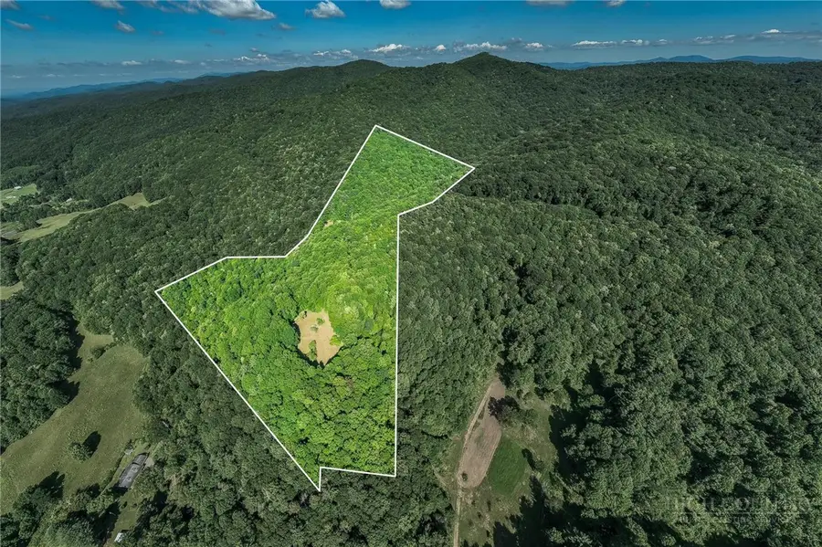 540 Jim Wright Road, Shady Valley, TN 37688 - #2