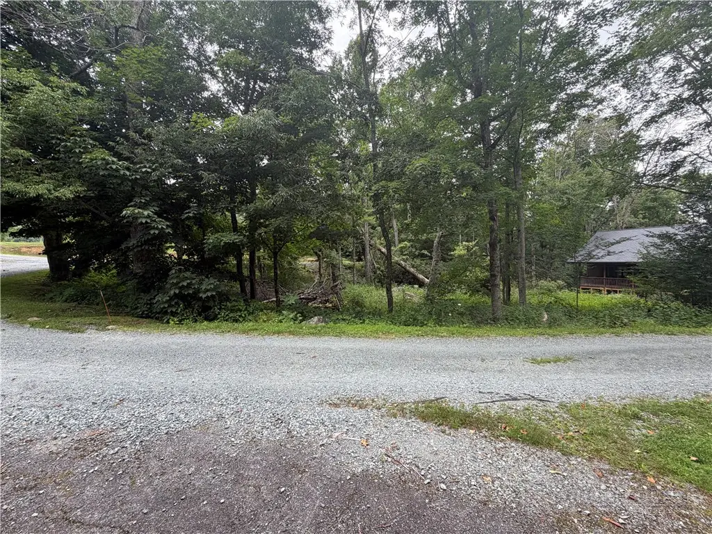 TBD Tbd Adams Apple Drive, Banner Elk, NC 28604 - #1