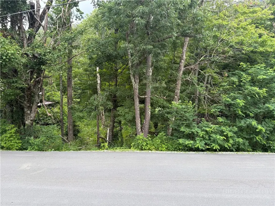 TBD Tbd Adams Apple Drive, Banner Elk, NC 28604 - #3