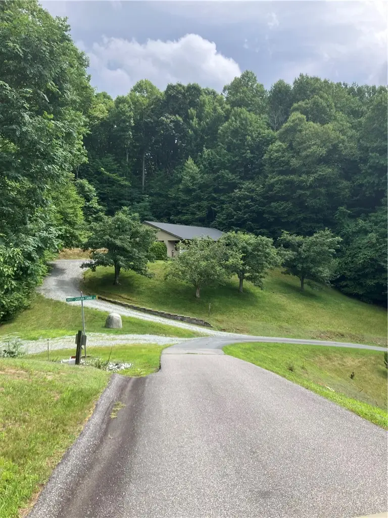 634 Roy E Brown Road, Vilas, NC 28692 - #1