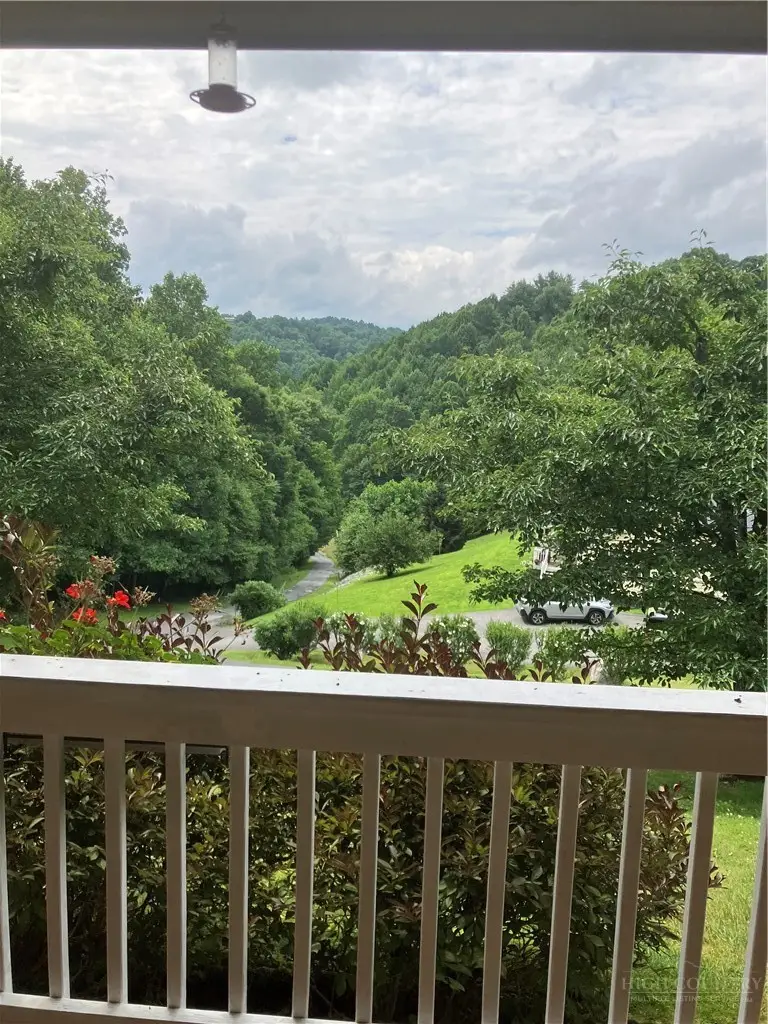 634 Roy E Brown Road, Vilas, NC 28692 - #3