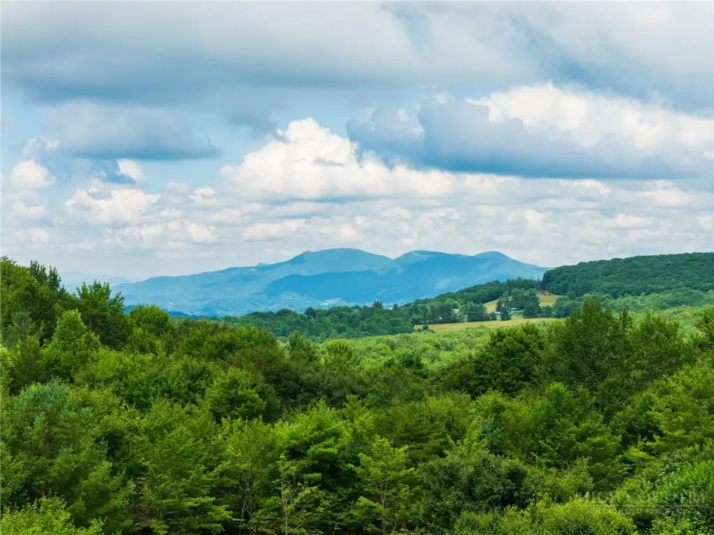 102 Spring Branch Road #A, Beech Mountain, NC 28604 - #1