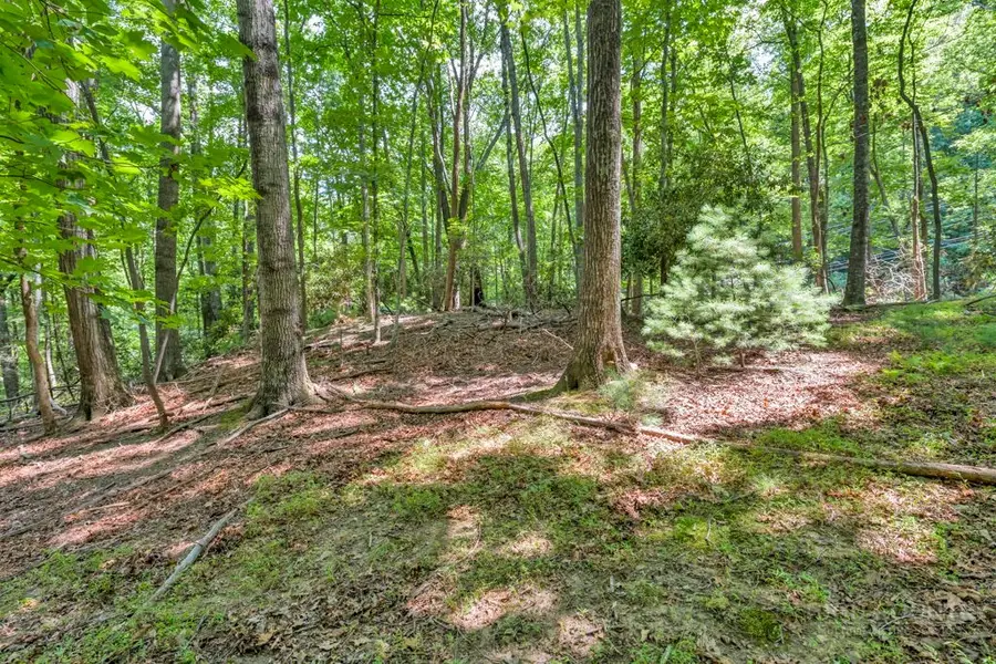 Lots Er 11-14 Powder Horn Mountain Rd Road, Deep Gap, NC 28618 - #3