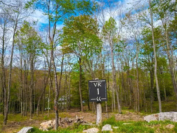 VR1 Red Sky Parkway, Elk Park, NC 28622