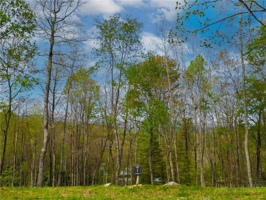 VR1 Red Sky Parkway, Elk Park, NC 28622 - #2