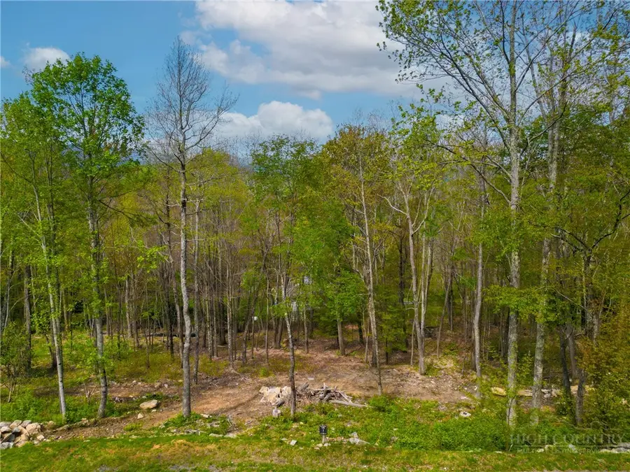 VR1 Red Sky Parkway, Elk Park, NC 28622 - #3