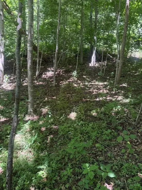 TBD Lot 37B Shady Valley Drive, West Jefferson, NC 28694 - #2
