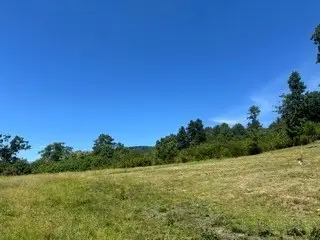 TBD Black Bear Acres Lane, West Jefferson, NC 28694 - #3