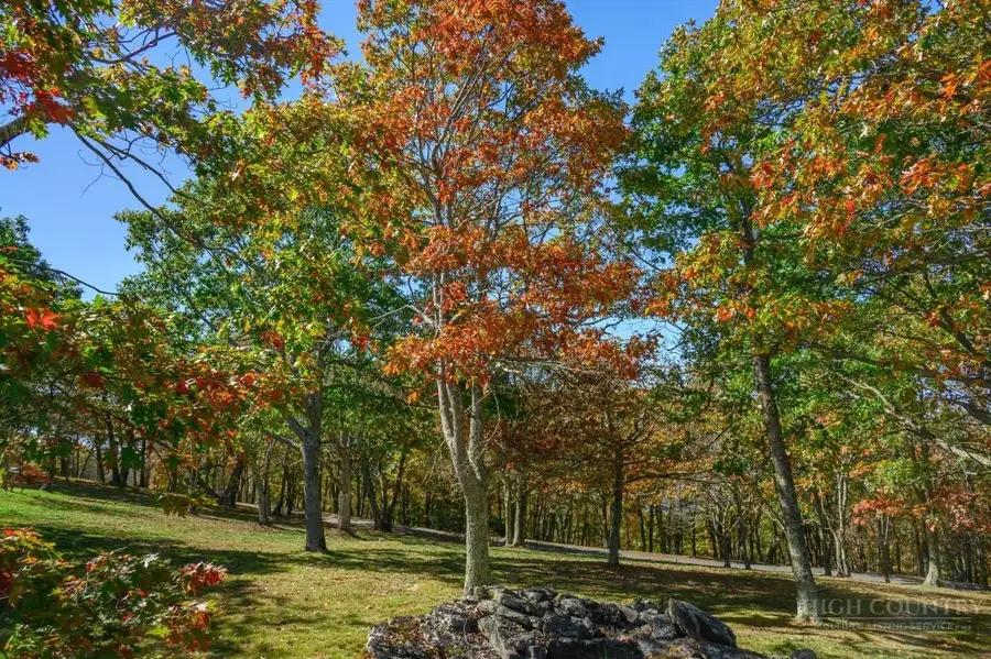 Lot 60 Rocky Parkway, Banner Elk, NC 28604 - #3